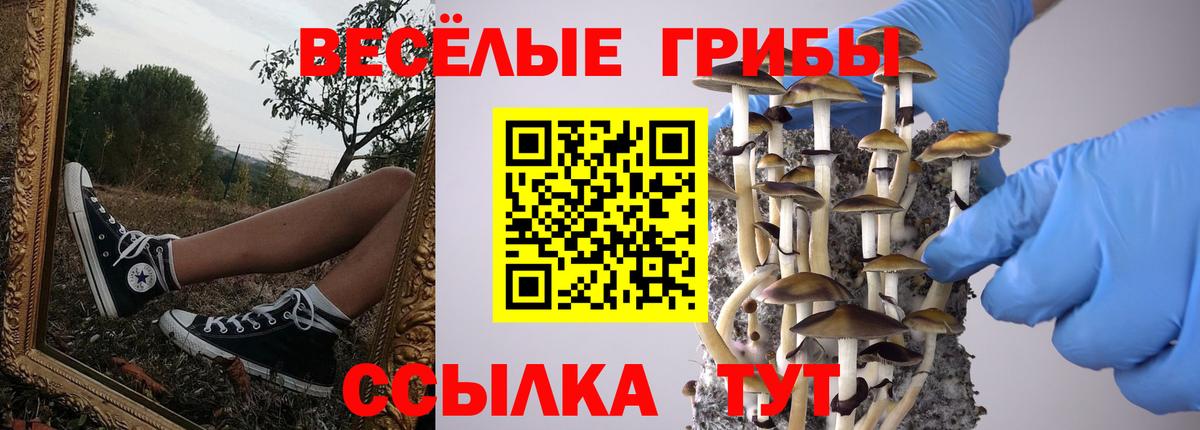 Галлюциногенные грибы Минеральные Воды